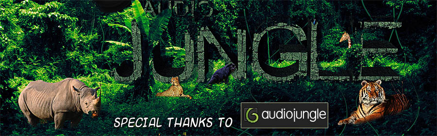  Audio Jungle 6 